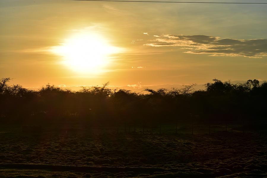African Sunrise Photograph by Marta Pawlowski
