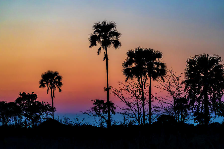 African Sunset 2 Photograph by Betty Eich