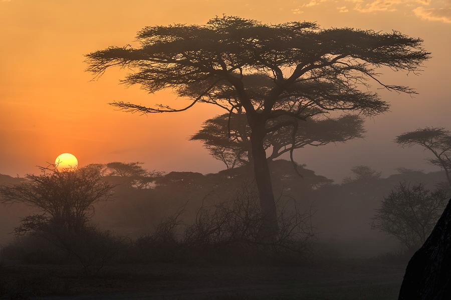 African Sunset Photograph by Giuseppe Damico