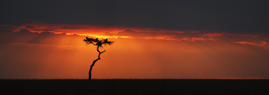 Nature Photograph - African Sunset by Gp232