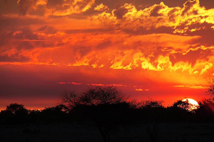 African Sunset Photograph by Nicolamargaret