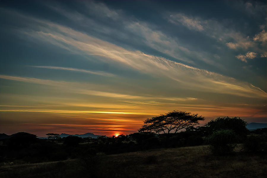 African Sunset Photograph by Roni Chastain
