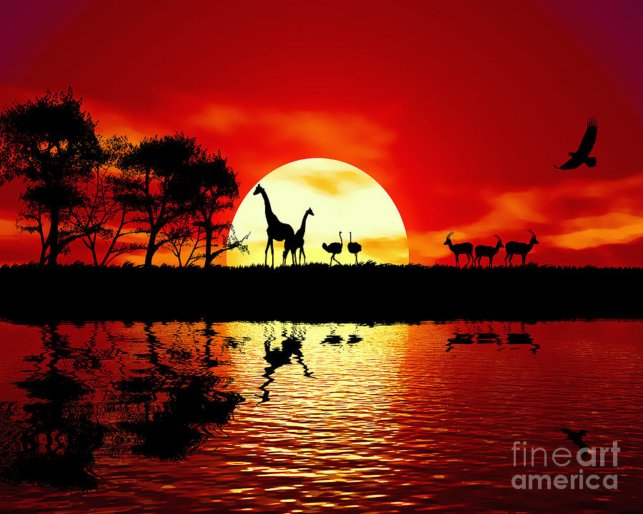 African Sunset