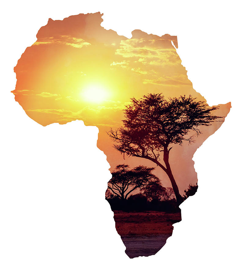 African sunset with acacia, Map of africa concept Photograph by Artush ...