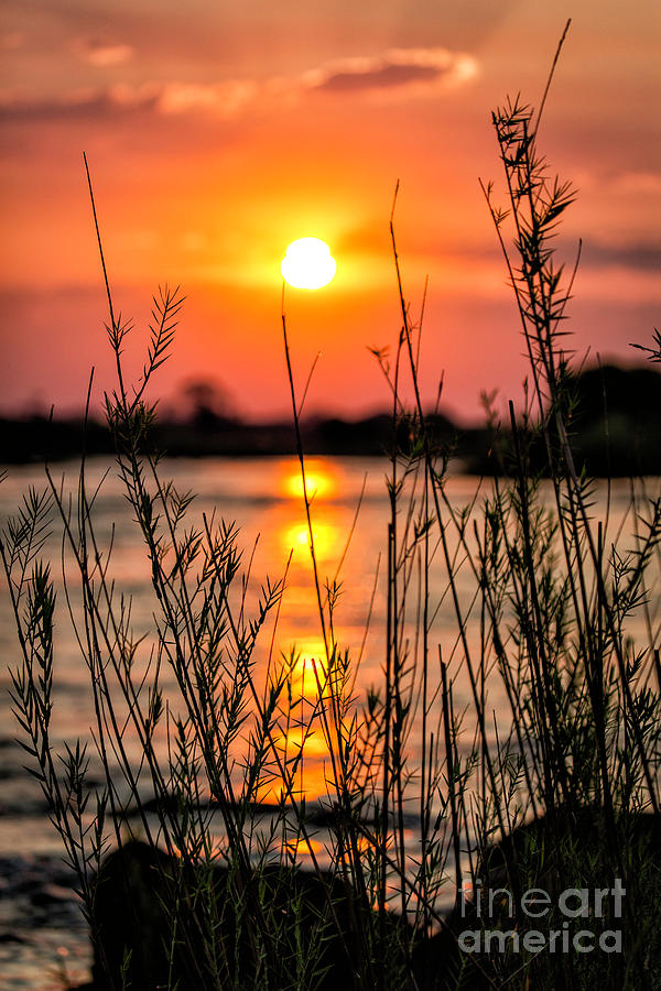African Sunset Zambezi River Photograph by Timothy Hacker