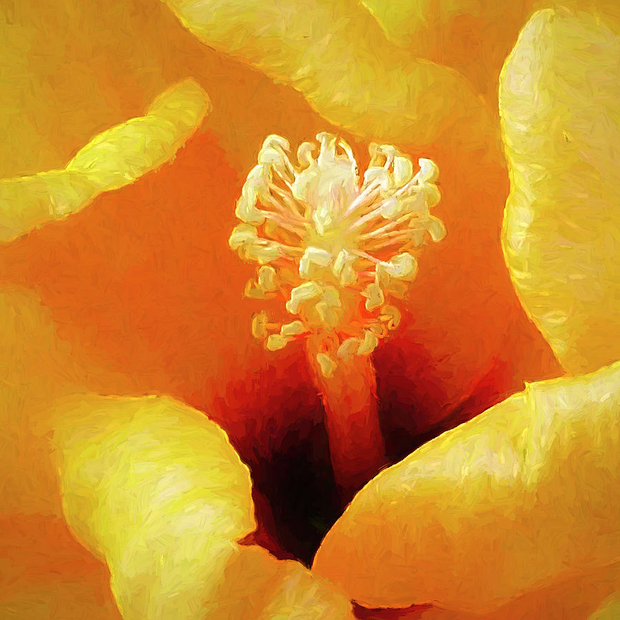 African Yellow Hibiscus Digital Art