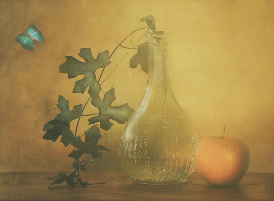 Still Life Photograph - After A Rainy Day by Delphine Devos