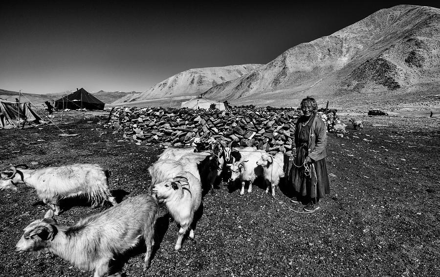 Black And White Photograph - After Milking Goats (ladakh-india) by Joxe Inazio Kuesta Garmendia