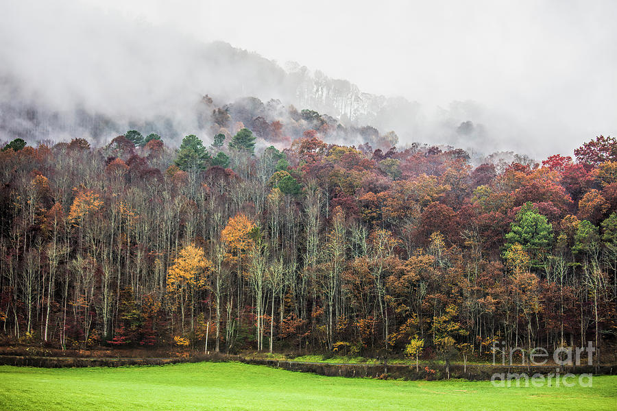 After Rain, Autumn in North Georgia Mountains Photograph by Felix Lai
