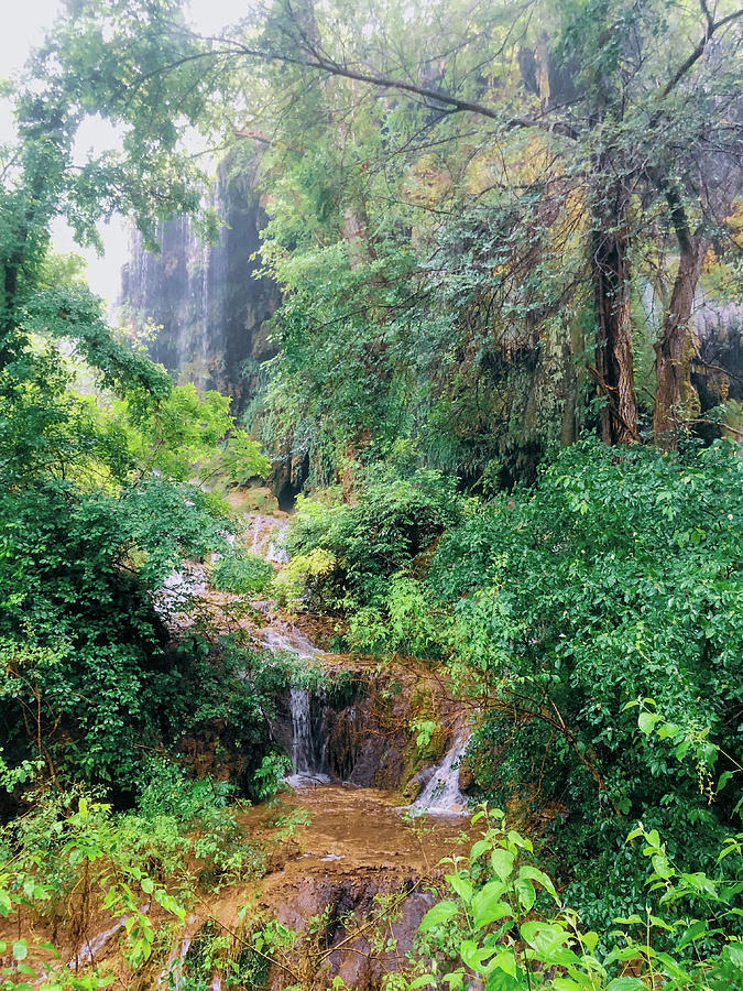 After Rain Falls Photograph by Kelly Thackeray After Rain Falls Photograph by Kelly Thackeray