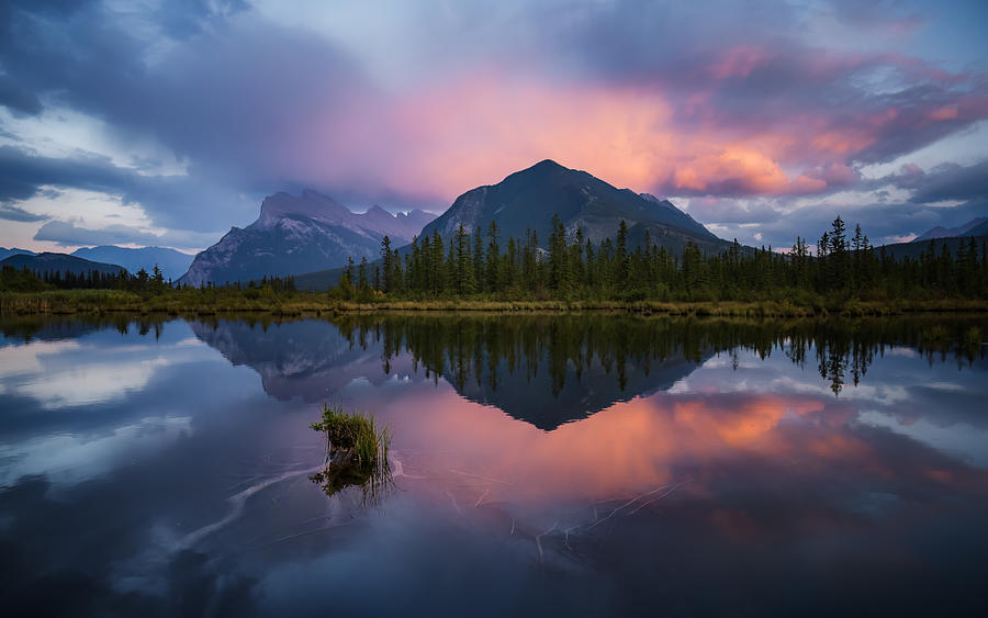 After Rain Stopped Photograph by Ling Zhang - Fine Art America