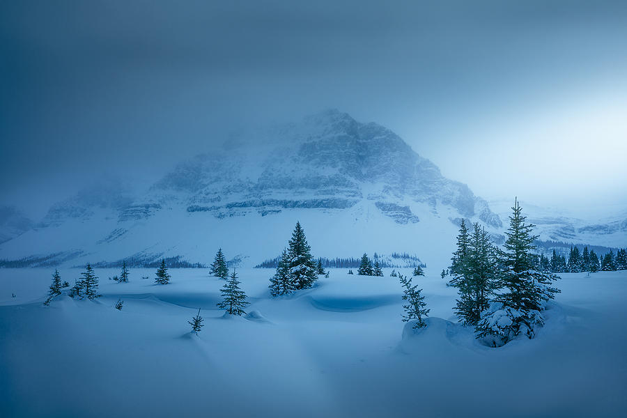 After Snow At Bow Lake Photograph by Wendy Xu