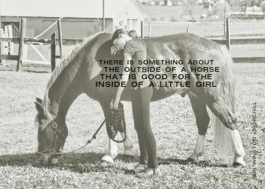 AFTER THE COMPETITION quote Photograph by Dressage Design