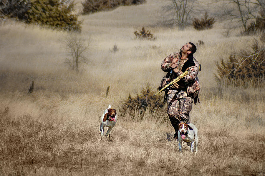 Dog Photograph - After the Hunt by Nikolyn McDonald