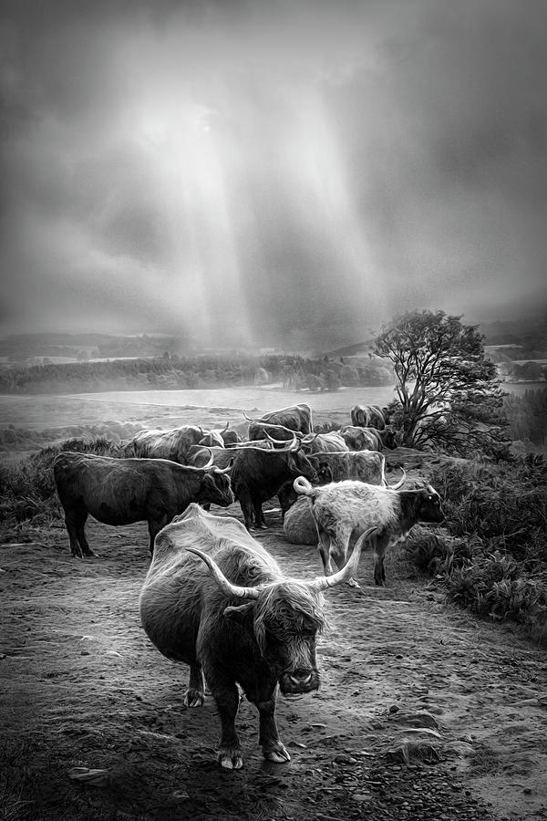 After the Rain on the Mountain in Black and White Photograph by Debra and Dave Vanderlaan