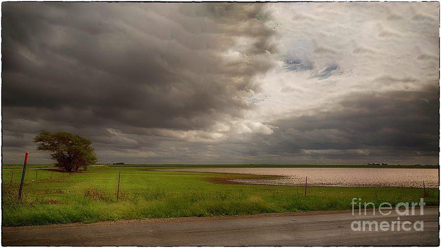 Lubbock Photograph - After The Rains - West Texas by Natural Abstract Photography