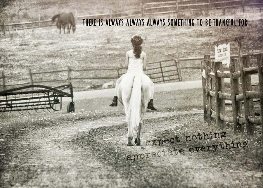 AFTER THE RIDE quote Photograph by Dressage Design