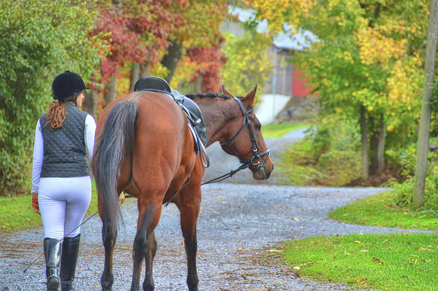 After The Ride Walk Photograph by Dressage Design