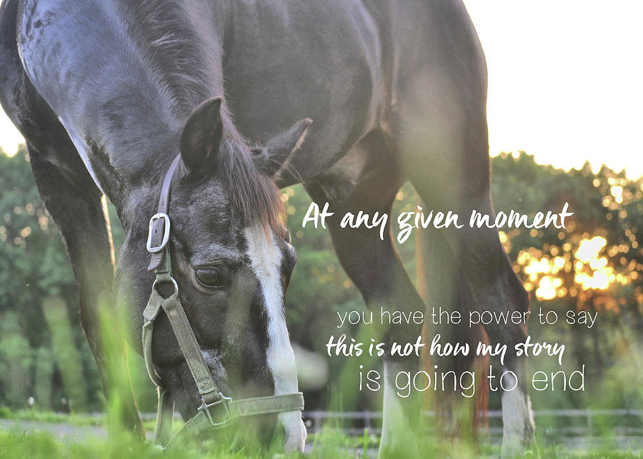 AFTER THE SHOW quote Photograph by Dressage Design