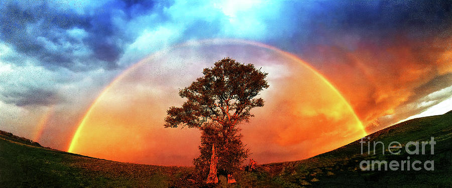 After the Storm, California Foothills                        Photograph by Don Schimmel