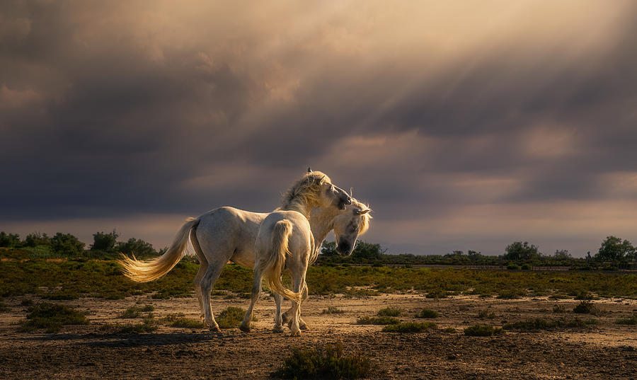 After The Storm...light! A732210 Photograph by Joanaduenas - Fine Art