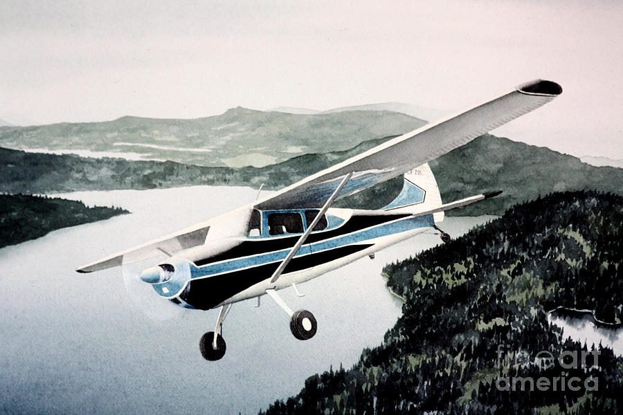Afternoon flight by Frank Townsley Afternoon flight by Frank Townsley