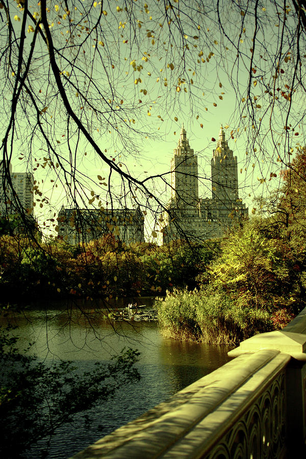 Afternoon In Central Park Photograph by Bhwehlage