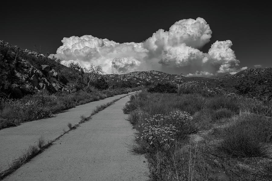 Afternoon, Old Road, Black and White Photograph by TM Schultze