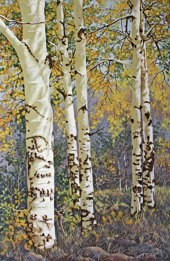 Tree Painting - Afternoon Shadows by Carol J Rupp