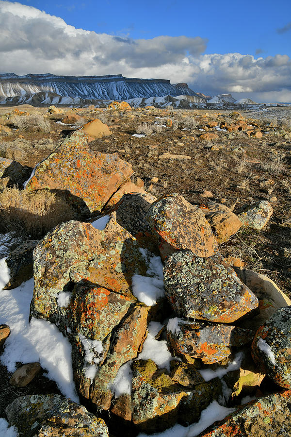 Afternoon Sunlight on Boulder Field in Book Cliffs Photograph by Ray Mathis