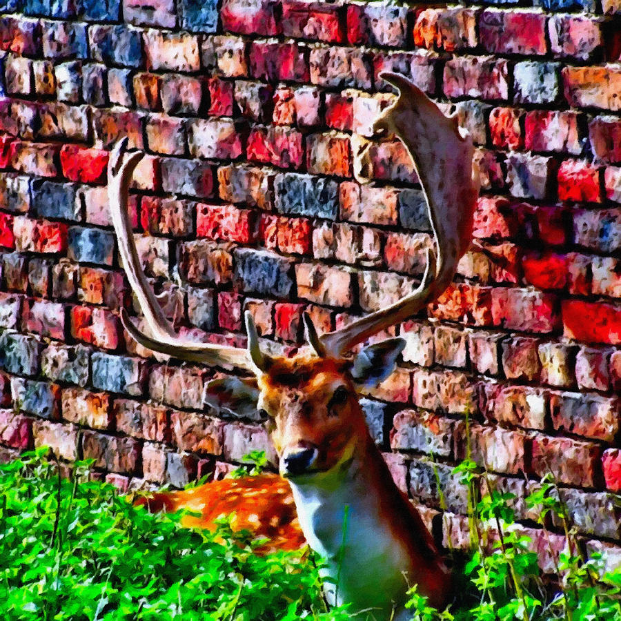 Against The Wall by Abbie Shores Against The Wall by Abbie Shores