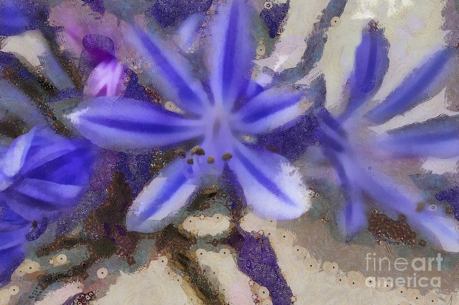 Abstract Mixed Media - Agapanthus Abstract by Eva Lechner