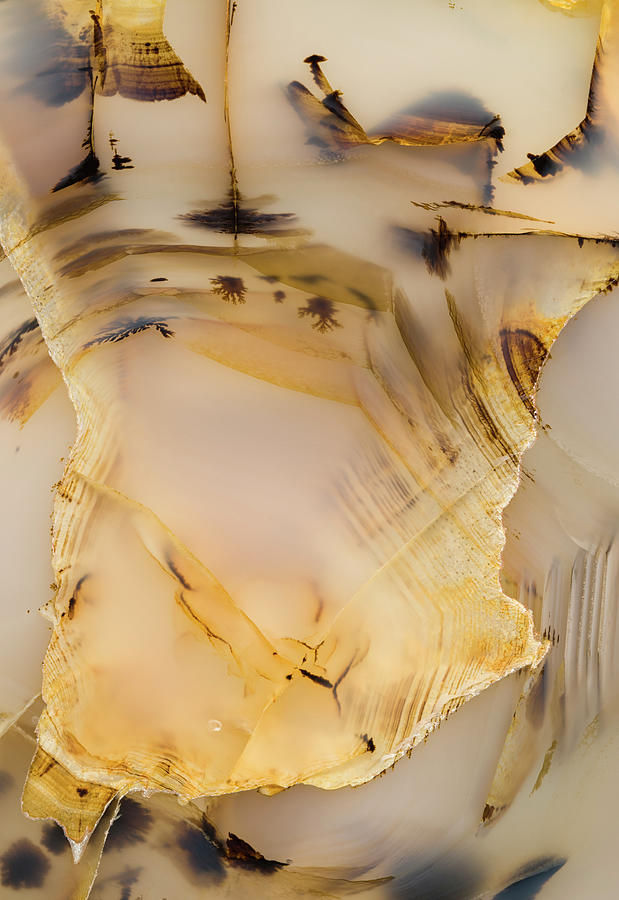Agate, Close Photograph by Mark Windom