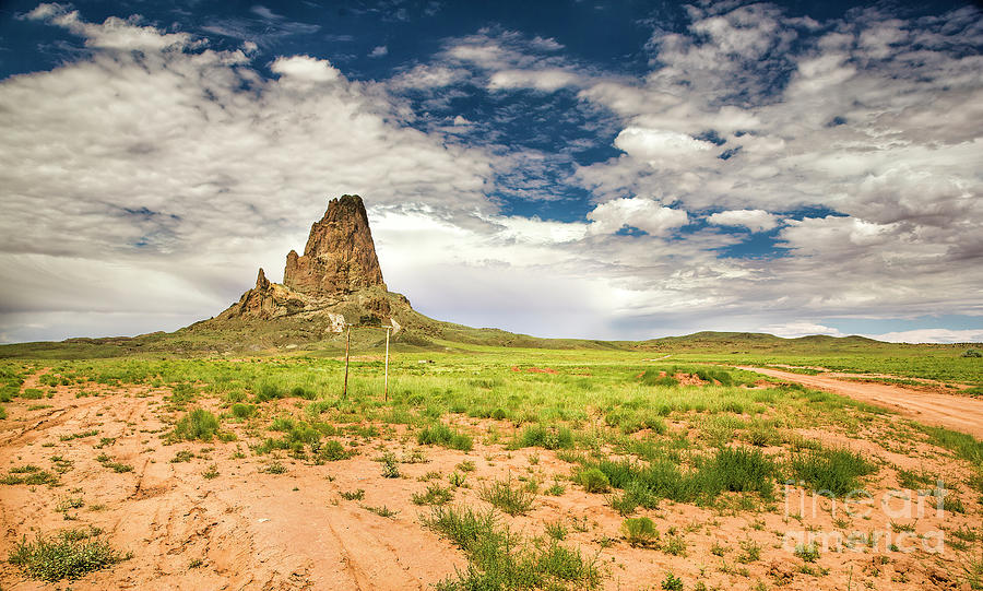 Agathla Peak, Arizona, 2 Photograph by Felix Lai