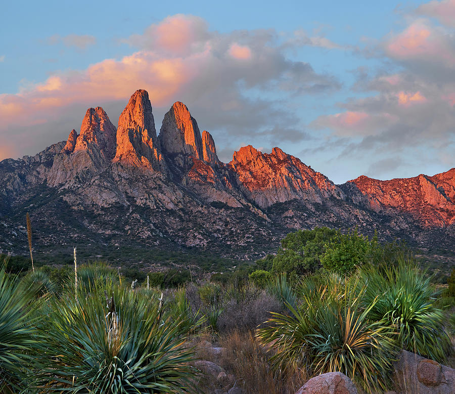 Organ Moutains, Aguirre Spring  Photograph by Tim Fitzharris