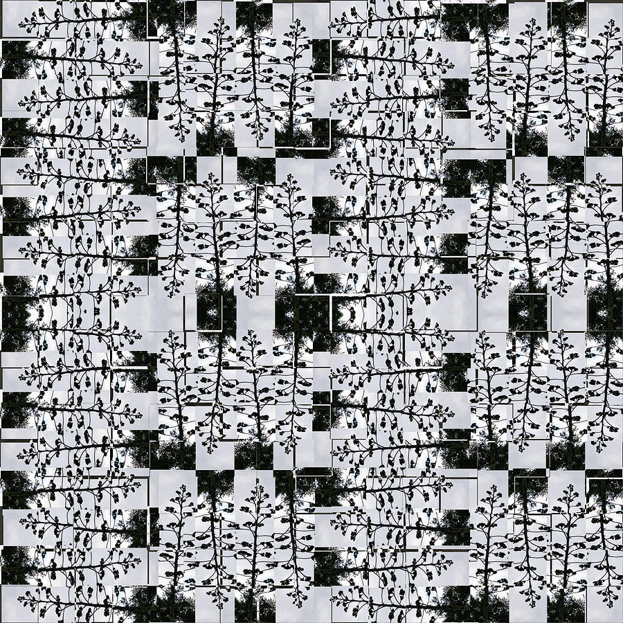 Agave, Pattern, Clubed Digital Art by Scott S Baker