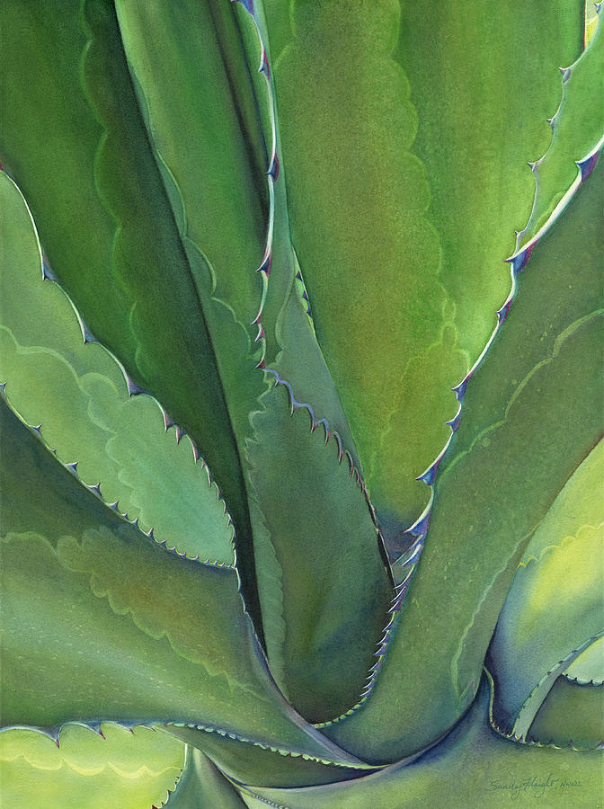 Desert Painting - Agave Verde by Sandy Haight