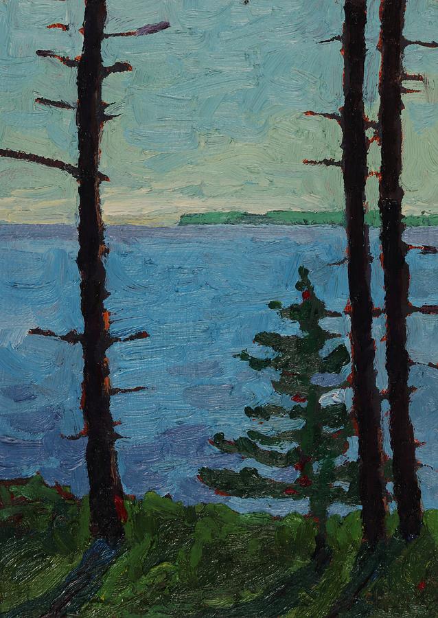 Agawa Campsite Trees Painting by Phil Chadwick