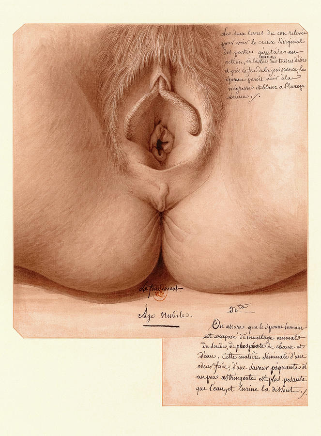 Nude Painting - Age Nubile, Vagina by Jean-Jacques Lequeu