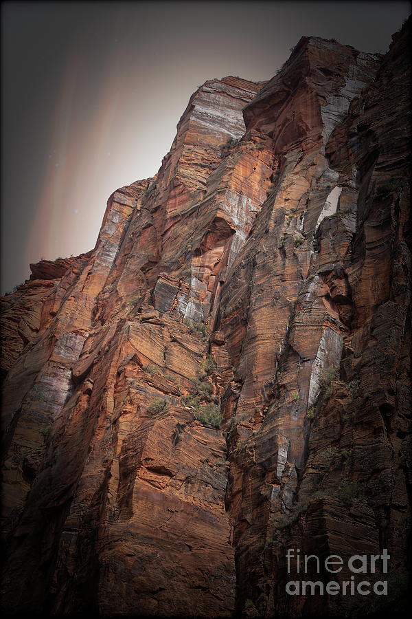 Aged Mix Zion National Park  Photograph by Chuck Kuhn