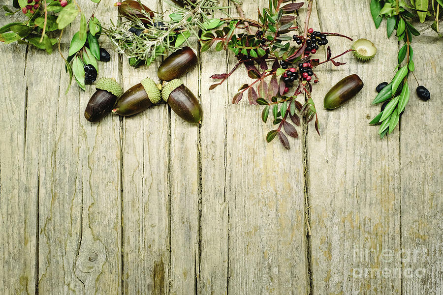Aged wooden table background decorated with acorns, red berries and dried leaves. Photograph by Joaquin Corbalan