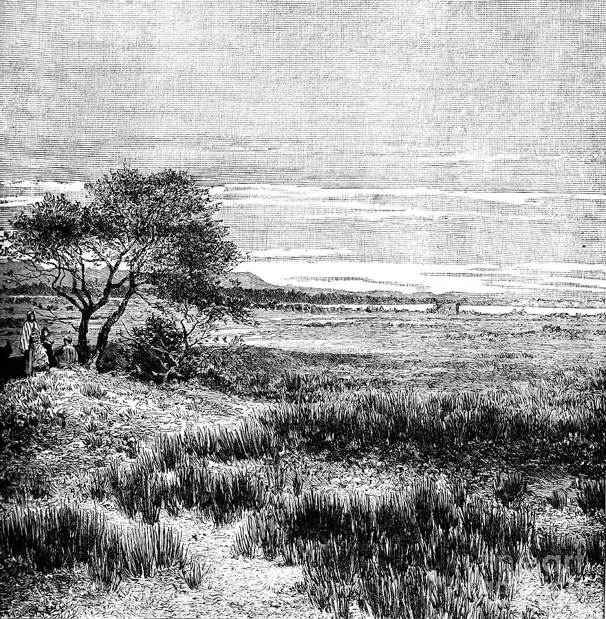 Agha Valley, Central Pampa, Argentina Drawing by Print Collector