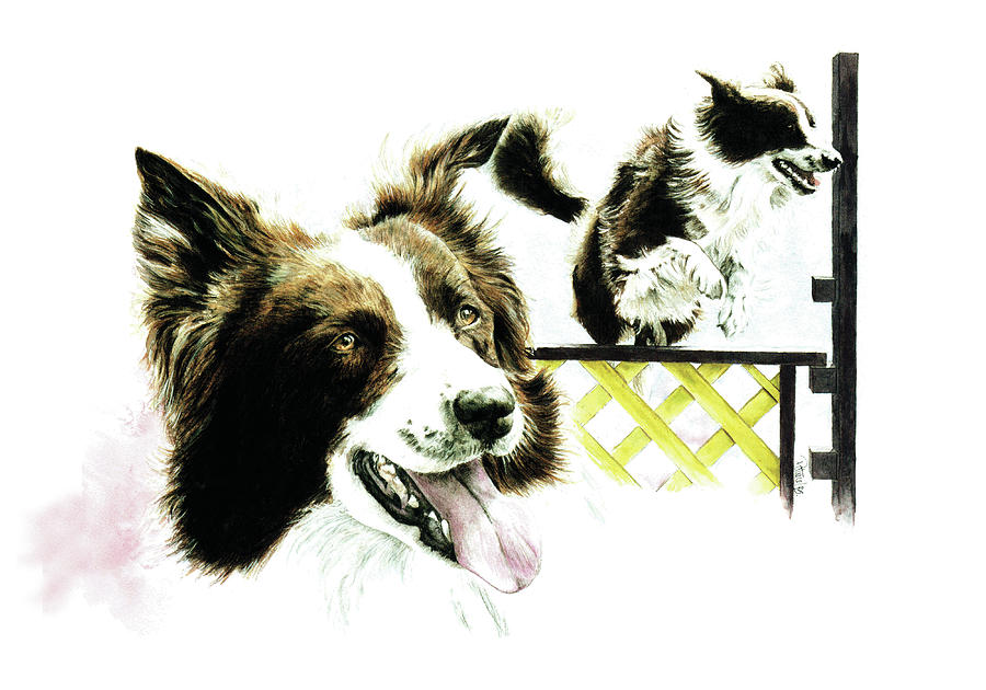 Agility Border Collie Painting by Patrice Clarkson
