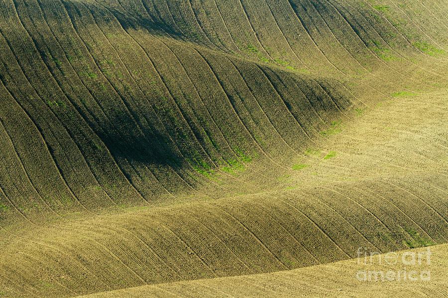 Agricultural field landscape  Photograph by Heiko Koehrer-Wagner