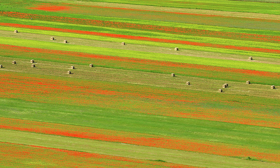 Agricultural Scenery Photograph by Vittorio Ricci - Italy