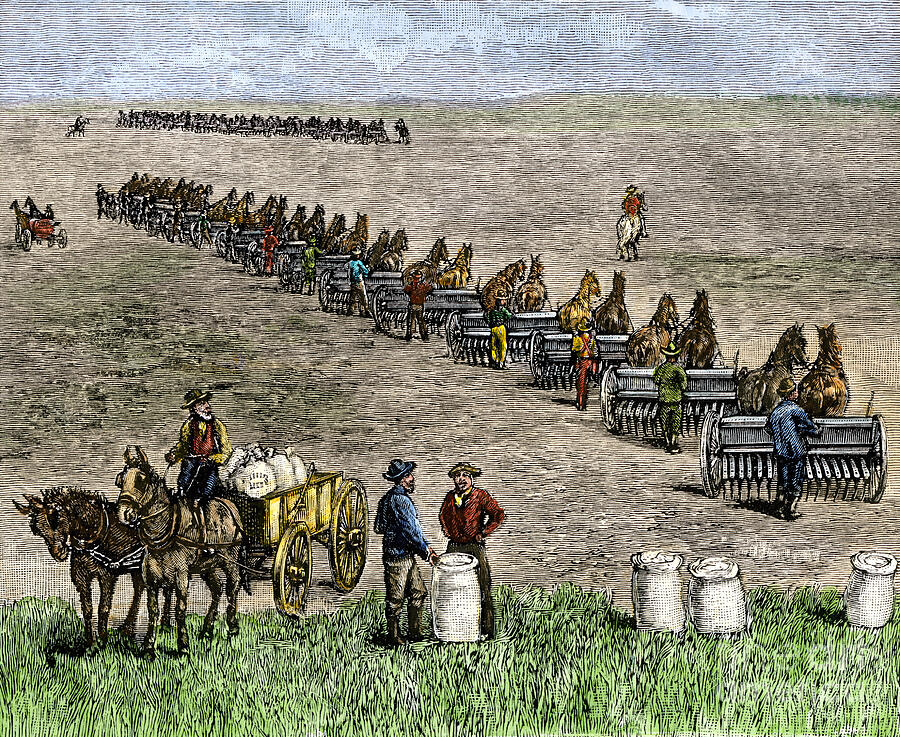 Vintage Drawing - Agriculture Agricultural Workers And Machinery Sowing Seeds In The Fields Of Bonanza Farm, North Dakota, Early 1870s Colour Engraving Of The 19th Century by American School