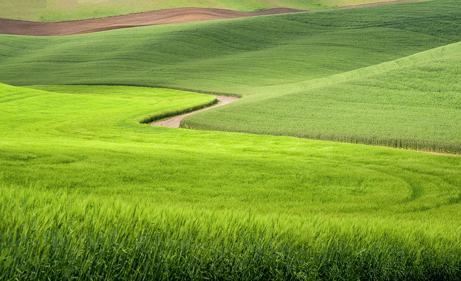 Agriculture,countryside,danita Photograph by Julie Eggers - Fine Art ...