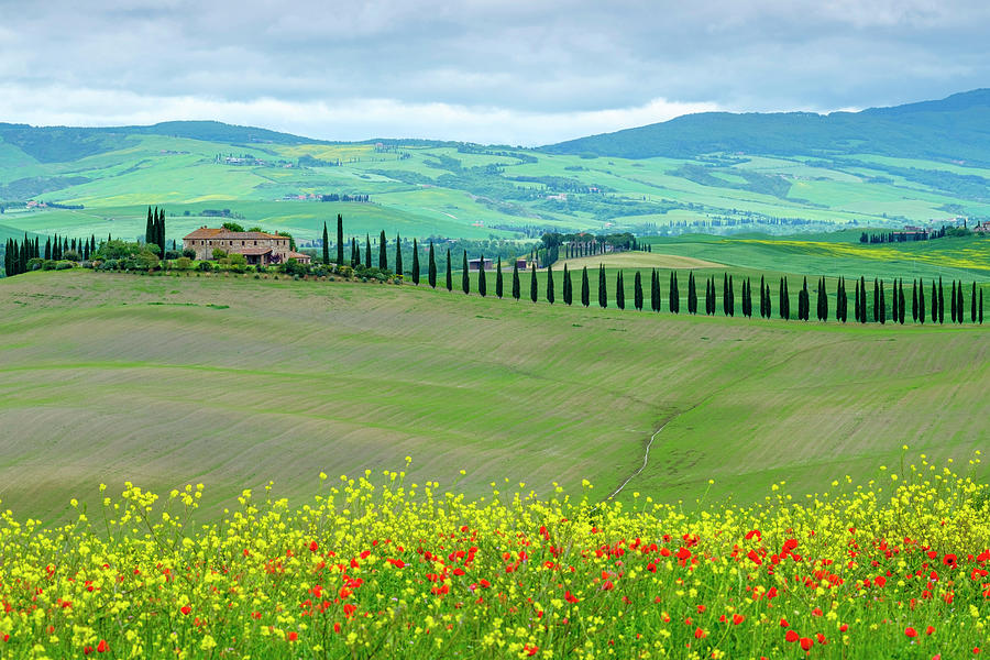 Agritourismo Di Poggio Covili, Castiglione D'orcia, Val D'orcia ...