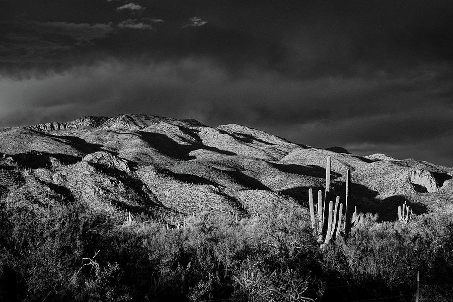 Agua Caliente Hill Black and White Photograph by Chance Kafka