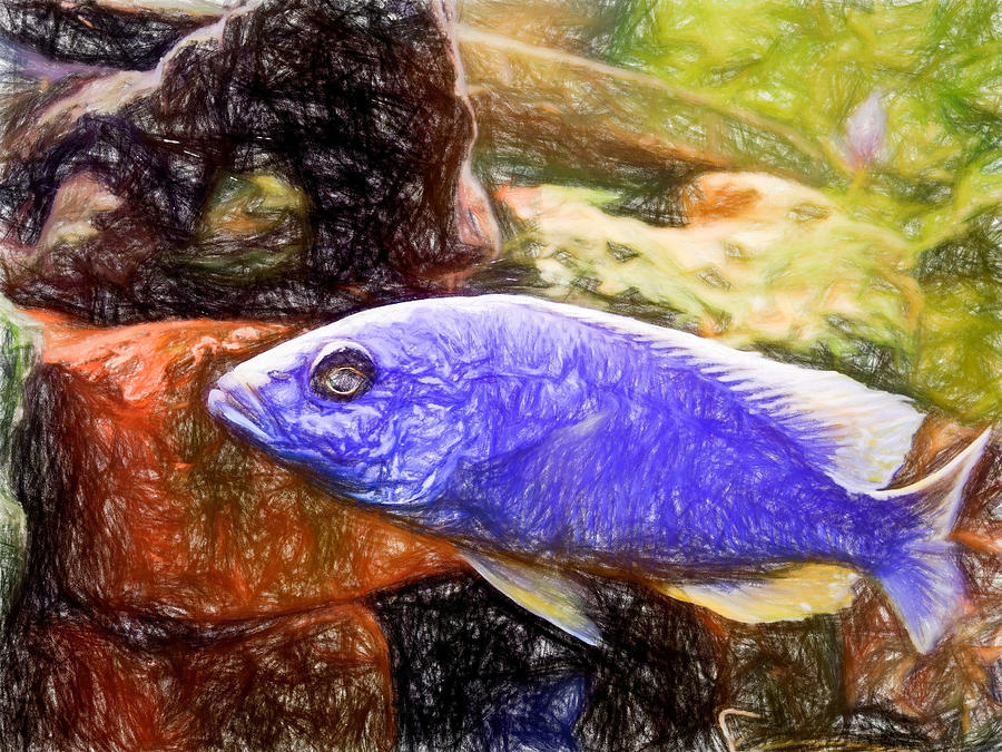Ahli Colored Pencil Digital Art by Don Northup
